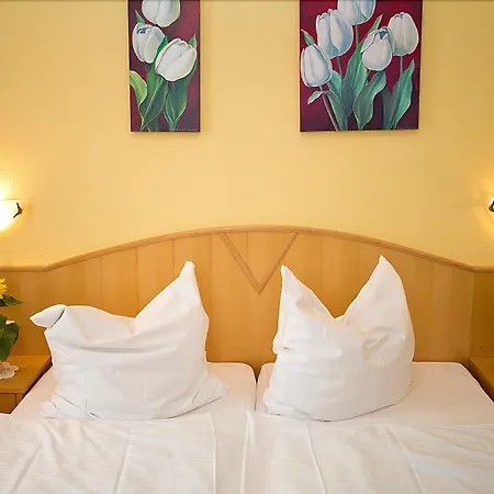 Zwei Mohren 3* Rüdesheim am Rhein