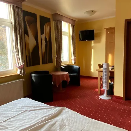 Hotel Zwei Mohren 3*
