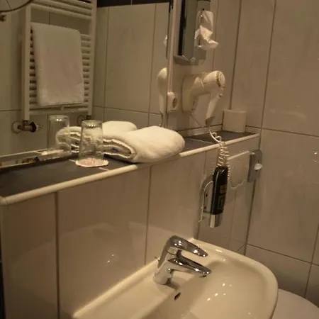 Hotel Zwei Mohren 3*