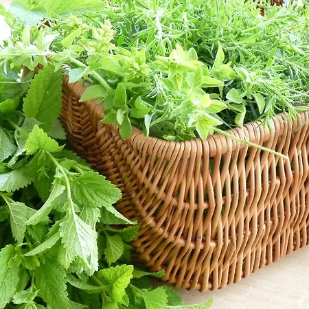 Zwei Mohren Ξενοδοχείο 3*