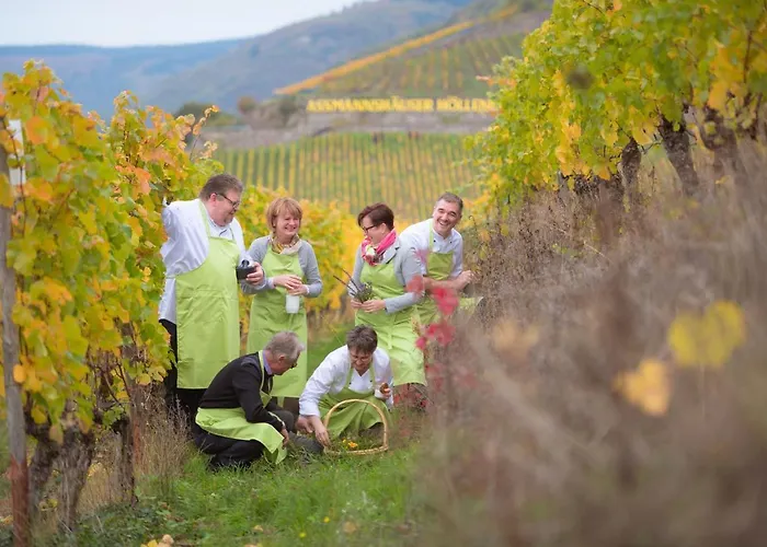 Hotel Zwei Mohren 3*