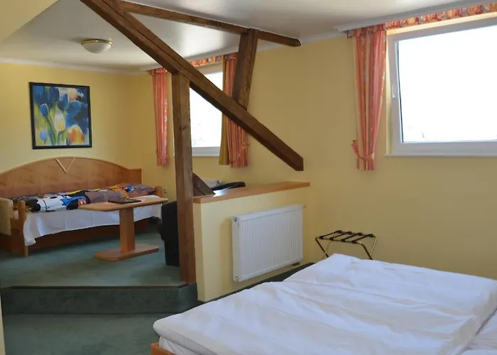 Hotel Zwei Mohren 3*